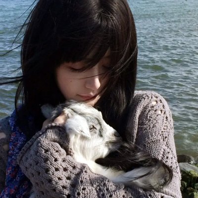 风流家族