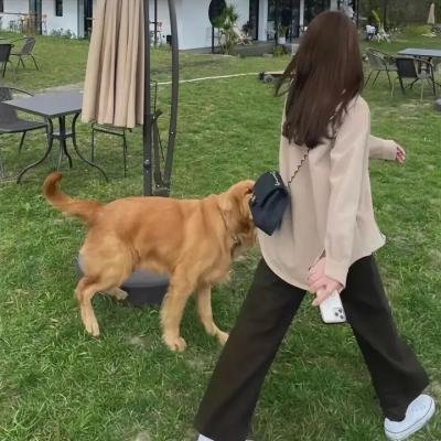 纽约大逃亡